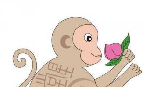 2023属猴人的爱情运势 属猴2023年感情