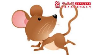 2023属鼠人的爱情运势 属鼠2023年运势及运程每月运程(农历六月)