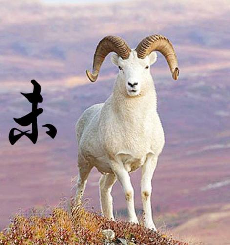 十二生肖起名之属羊的人怎样起一个好名字