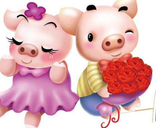 属猪和属鸡的婚姻怎么样属鸡和属猪的犯六害怎么化解
