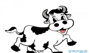 属牛的爱情情结是啥样子的 属牛的爱情情结是啥样子的呢