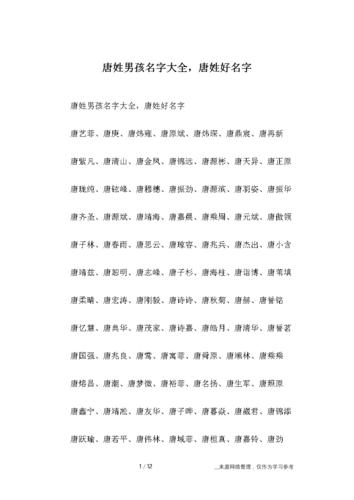 唐姓男孩名字大全-唐姓好名字.docx 12页