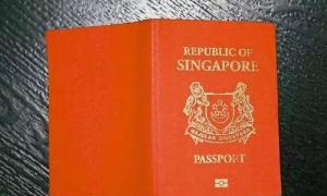 新加坡护照姓名怎么看 新加坡护照号