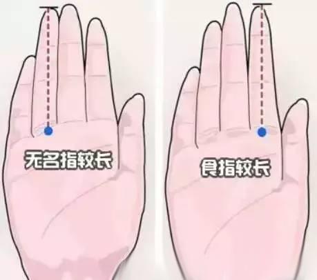 手指长度决定寿命中国手相学竟被美国实验证明