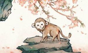属猴人十一月的爱情桃花运 生肖猴十一月份的运势