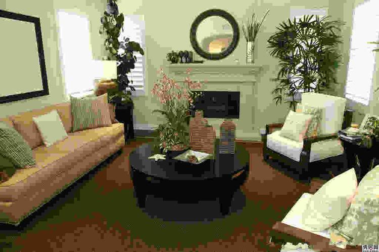 室内家居植物摆放风水效果图 5款客厅植物摆放位置风水设计图片