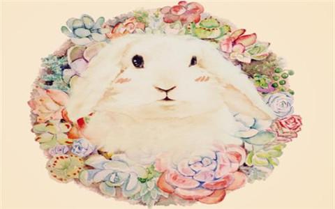 在爱情方面,属兔男和属兔女的爱情观和价值观都比较相近.