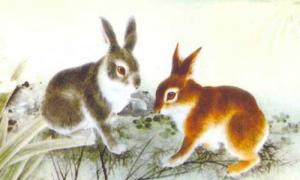 属兔的和什么属相相克相冲 属兔的与什么属相相克