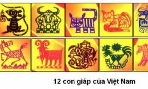 越南十二生肖 越南十二生肖是哪些动物