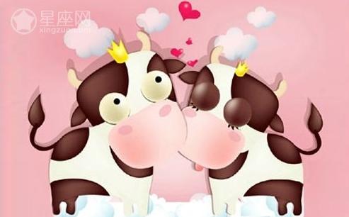 属牛的2023年爱情运势如何                   2023年属牛人的爱情