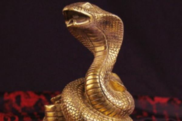 生肖蛇的性格特点是占有欲很强,善于交际.