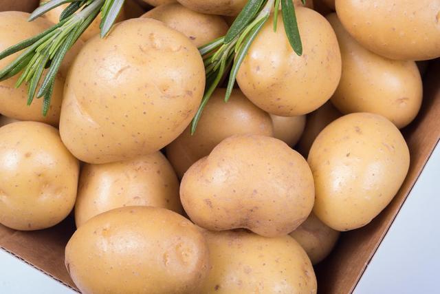 家里种土豆的方法