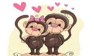 月份属猴的爱情是什么样的 属猴几月出生最好命运